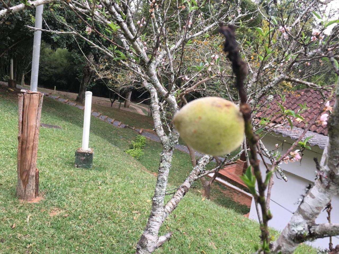 Pousada Cantao Cunha Buitenkant foto