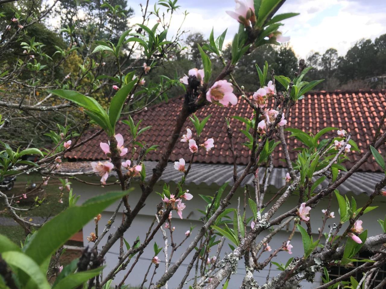 Pousada Cantao Cunha Buitenkant foto